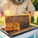 Προσοχή στις σανίδες «sup» – Δύο περιστατικά παράσυρσης στα βαθιά μέσα σε δύο μέρες