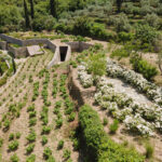 H μοναδική συλλογή σπάνιων μοτοσυκλετών Θεσσαλονικιού που σκοπεύει να τις… εκατοστήσει