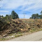 Wallet.gov.gr: Εντός Ιουνίου μπαίνουν τα στοιχεία των κατοικιδίων – Δ. Παπαστεργίου: Πιο χρηστική η πλατφόρμα για τα ακαθάριστα οικόπεδα