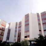 Θεσσαλονίκη: Χειροπέδες σε 33χρονο – Βούτηξε το κεφάλι γάτας σε ποτήρι με μπίρα