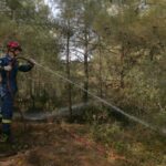 Χίος: Μαίνεται η φωτιά – Συνεχείς ρίψεις από εναέρια μέσα