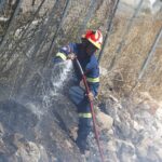 ΕΛ.ΑΣ.: Πέντε συλλήψεις για την άγρια επίθεση σε βάρος εθελοντών στην Πάρνηθα