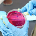 Athens Kallithea, μεταγραφές: Κοντά σε Παμλίδη, ρώτησε για Ντοναρούμα