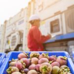 ΕΤΕ: Σε νέες κορυφές στοχεύει ο τουρισμός το 2024 – Αποφασισμένος να κερδίσει το στοίχημα της βιωσιμότητας