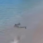 Συναγερμός για δεκάδες κρούσματα γαστρεντερίτιδας στη Μαγνησία –  «Μην πίνετε νερό της βρύσης»