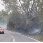 ΕΟΔΥ: 50 κρούσματα γαστρεντερίτιδας σε γλέντι γάμου – Διερευνώνται τα αίτια