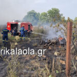 Μεγάλη φωτιά μέσα στη Λιβαδειά – Έφτασε κοντά στις δεξαμενές προπανίου του Νοσοκομείου