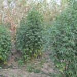 Αλλάζει «όψη» ο καιρός: Ποτάμια οι δρόμοι στη Θεσσαλονίκη (βίντεο)