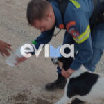 Μπάσκετ: Πόσο αξίζει η Team USA; Σχεδόν όσο ολόκληρο το Νότιο Σουδάν!