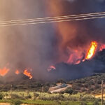 Φωτιά στην Παναγιά τη γοργόνα στη Σκάλα Συκαμιάς στη Λέσβο – Την έσβησαν περαστικοί