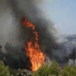 Σπάρτη: Νεκρός άνδρας στην κοίτη του Ευρώτα