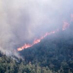 Παναθηναϊκός: Ο Τετέ και επίσημα στα «πράσινα» Πέτρος Στεφανής