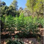 Ολυμπιακοί Αγώνες: Σε κακή ημέρα Κορακάκη και Μόσχη Παναγιώτης Κουμάνταρος