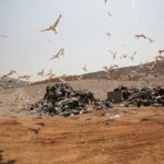 Κυρ. Μητσοτάκης: Είμαστε σύμμαχοι και όχι αντίπαλοι με τον ιατρικό κόσμο
