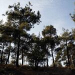 Ολυμπιακοί Αγώνες: Αέρας στους «16» ο Τσιτσιπάς Παναγιώτης Κουμάνταρος