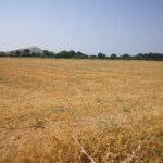 Δύο δισ. ευρώ για φθηνή στέγη – Νέο πρόγραμμα κοινωνικής αντιπαροχής για να βρουν σπίτι τα νοικοκυριά και κυρίως τα νέα ζευγάρια