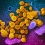 Χατζηδάκης για Attica Bank: Υπάρχει άραγε υπουργός Οικονομικών που να απέρριπτε αυτή τη συμφωνία;