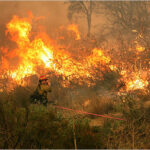 Ολυμπιακοί Αγώνες: Τα δάκρυα Κορακάκη μετά τον αγώνα που εγκατέλειψε Νικολέτα Πετανίδου