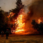 Η Νότιγχαμ κλείνει τον Ζότα Σίλβα που συνδέθηκε με τον Παναθηναϊκό, σύμφωνα με τον Ρομάνο