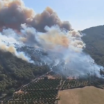 Ολυμπιακοί Αγώνες: Τα δάκρυα Κορακάκη μετά τον αγώνα που εγκατέλειψε Νικολέτα Πετανίδου