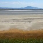 Άρης, μεταγραφές: Παράταση στην άφιξη του Σισέ, το βράδυ της Δευτέρας στη Θεσσαλονίκη