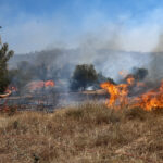 Κομισιόν: Παρουσιάζει τις επενδυτικές κατευθυντήριες γραμμές του Νέου Ευρωπαϊκού Μπάουχαους
