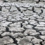 Φωτιά στις Μουριές Κιλκίς