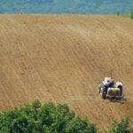 Χαρδαλιάς: Σε απόλυτη ετοιμότητα η περιφέρεια Αττικής να αντιμετωπίσει την πανώλη αιγοπροβάτων