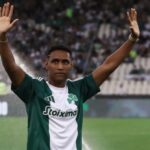 Πυρκαγιές: «Μάχη» σε πέντε πύρινα μέτωπα