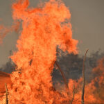 Γερμανία: Πρωτοφανής «βουτιά» για την επιχειρηματική εμπιστοσύνη τον Αύγουστο