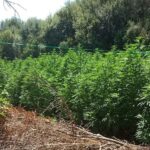 Ολυμπιακοί Αγώνες: Υπό ένταση και υψηλή προστασία για τους Ισραηλινούς Παναγιώτης Κουμάνταρος