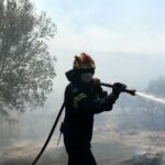 Αθλητικές μεταδόσεις: Πού θα δείτε τη ρεβάνς του ΠΑΟΚ με τη Μάλμε για τον 3ο προκριματικό γύρο του Champions League