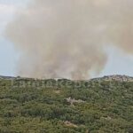 Γαμήλιο γλέντι Κασσελάκη-Τάιλερ: Το μενού του χθεσινού δείπνου και πόσο κόστισε, την Παρασκευή η ανταλλαγή όρκων