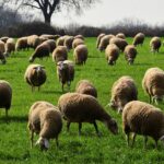 Μπάρκιν (Fed): Έχουμε να δούμε πολλά στοιχεία πριν καταλήξουμε σε μείωση επιτοκίων τον Σεπτέμβριο