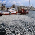 Η Μπρεστ ανακοίνωσε τον Μαμά Μπαλντέ που συνδέθηκε με τον Παναθηναϊκό