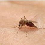 ΣΥΡΙΖΑ: Πρόσκληση στον Κυρ. Μητσοτάκη για οδοιπορικό στις πληγείσες περιοχές