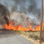 Oλυμπιακός: Φορτσάρει για Κάρμο και Ποντένσε Πέτρος Στεφανής