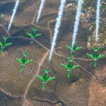 Φωτιά στην Κεφαλονιά, καίει σε δασική έκταση – Ήχησε το 112