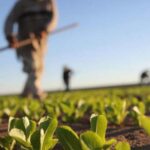 Τι είναι το φαινόμενο των χαοτικών κηλιδώσεων και πώς επηρεάζει τη φωτιά στην Αττική