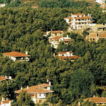 Ηλεκτρονικές αγορές: Ρούχα, φαγητό και καλλυντικά παραγγέλνουν οnline οι Έλληνες