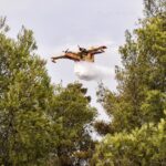 Ευλογιά των πιθήκων: Τι είναι η mpox, ποια τα συμπτώματα και τι μπορεί να προκαλέσει στον ανθρώπινο οργανισμό