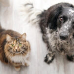 Σφοδρή σύγκρουση οχημάτων στη Ζαχάρω – Ένας τραυματίας