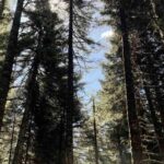 Εορτολόγιο: Ποιοι γιορτάζουν σήμερα, 22 Αυγούστου