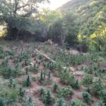 Η αιτία πίσω από τη «Μαύρη Δευτέρα» στα χρηματιστήρια: Ξεπούλημα μετοχών σε παγκόσμιο επίπεδο