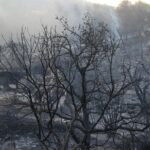 Νεκρός 84χρονος σε παραλία της Επανομής