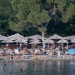 Απελπισμένοι οι καλλιεργητές ντομάτας – «Παράγουμε χωρίς να ξέρουμε αν θα βγάλουμε το κόστος παραγωγής που είναι στα ύψη»