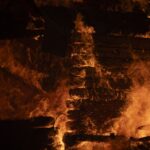 ΕΛΣΤΑΤ: Αύξηση 3% για τον δείκτη τιμών εκροών στη γεωργία – κτηνοτροφία τον Ιούνιο