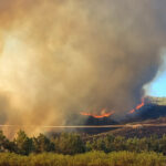 Οι Έλληνες δεν διαβάζουν βιβλία – Η εικόνα στην ΕΕ