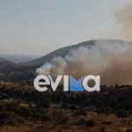 Αλλάζουν όλα από 1/1/2025 για ένα εκατομμύριο ελεύθερους επαγγελματίες – Αποκλειστικά με τα στοιχεία από το myDATA θα φορολογείται ο ΦΠΑ
