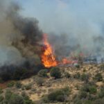 Η απάντηση του Φερέιρα σε δημοσιογράφο που προκάλεσε αντιδράσεις: “Θα δώσω εξηγήσεις μόνο σε τρεις γυναίκες”